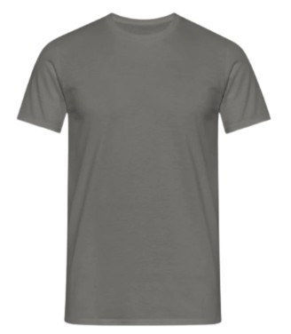 Remera Manga Corta Peinado Gris Topo